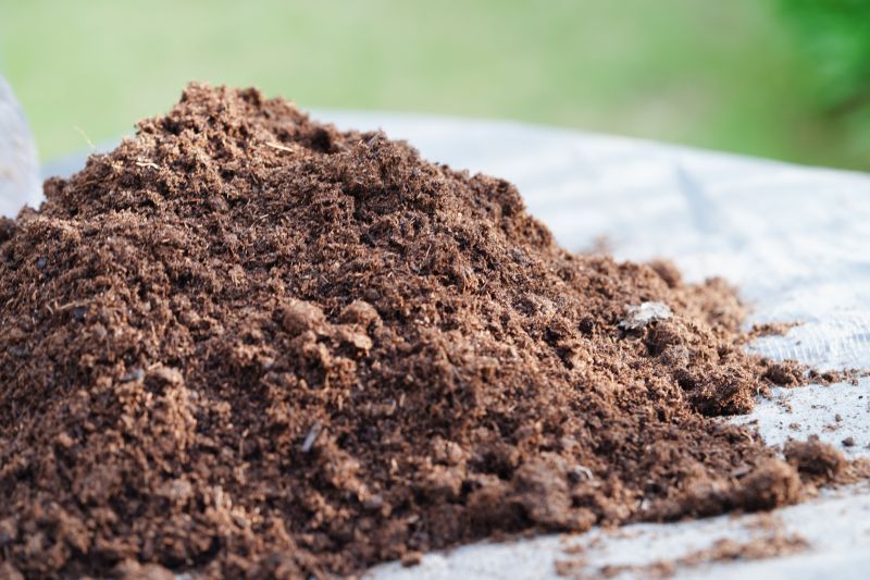 Local Soil Suppliers